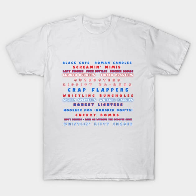 4th of July Fireworks T-Shirt by MollyBee